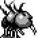 dodrio