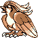 Pidgeot front sprite (Red Green Japan)