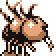 dodrio
