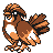 pidgeotto