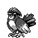 pidgeotto