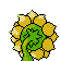 sunflora