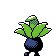 oddish