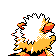 arcanine