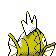 magikarp
