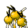 dodrio