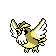 pidgey
