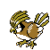 pidgeotto