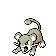 rattata