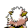arcanine