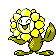 sunflora