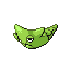 metapod