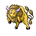 tauros