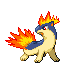 quilava