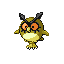 hoothoot