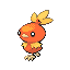 torchic