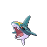 sharpedo