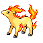 ponyta