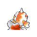 goldeen