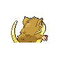 raticate