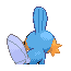 mudkip