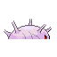 cascoon