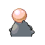 spoink