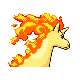 rapidash