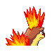 quilava