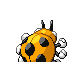 ledyba