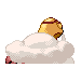 torkoal