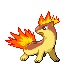 quilava