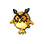 hoothoot