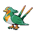 swellow