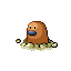 diglett