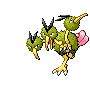 dodrio