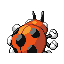 ledyba