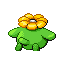 skiploom