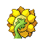 sunflora
