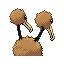 doduo