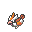 pidgey