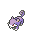 rattata