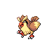 pidgey