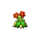 bellossom