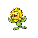 sunflora