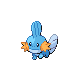 mudkip