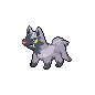 poochyena