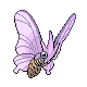 venomoth