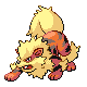 arcanine