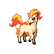 ponyta